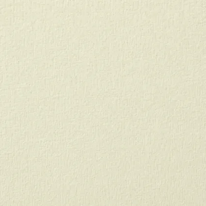Close-up of the Bamboo paper surface texture