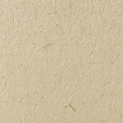 Close-up of the Banana fibre paper surface texture