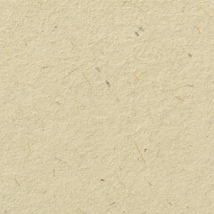 Close-up of the Elephant dung paper surface texture