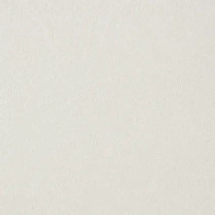 Close-up of the Fedrigoni Freelife Vellum surface texture