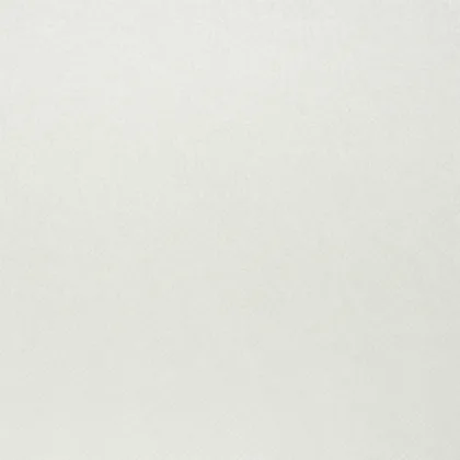 Close-up of the Solid bleached board (SBS) surface texture