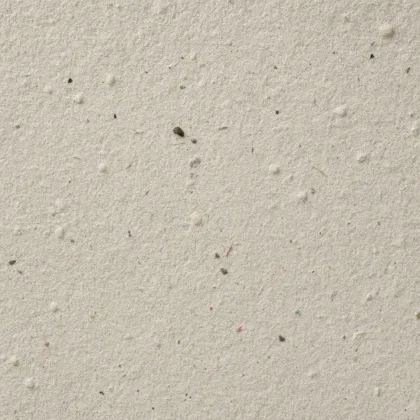Close-up of the Plantable seed paper surface texture