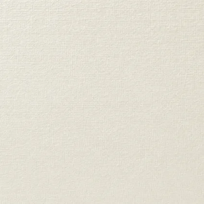 Close-up of the Strathmore Premium surface texture