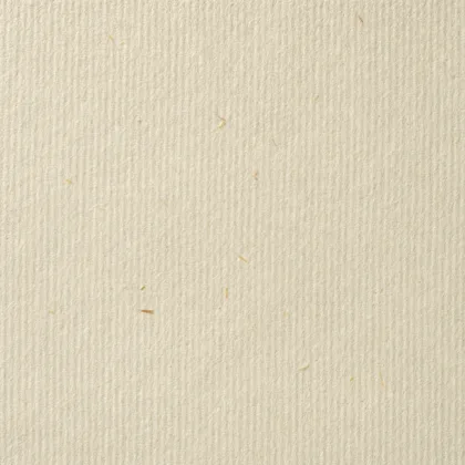 Close-up of the Straw and wheat paper surface texture