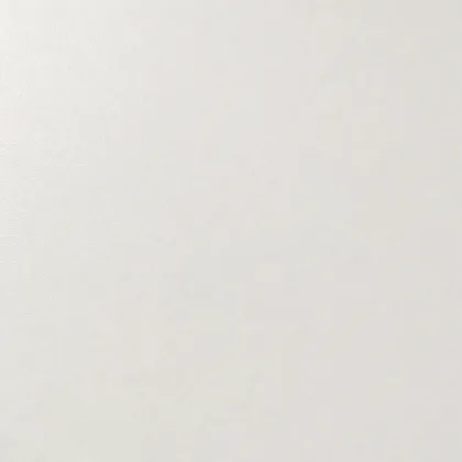 Close-up of the Yupo synthetic paper surface texture