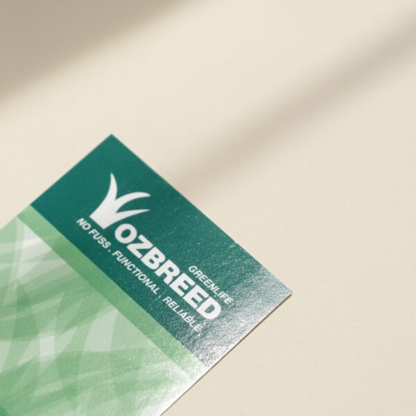 Gloss Business Cards