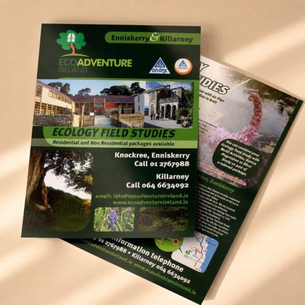 A4 flyers printed for Eco Adventure Ireland